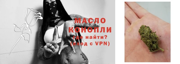 СК Каменногорск