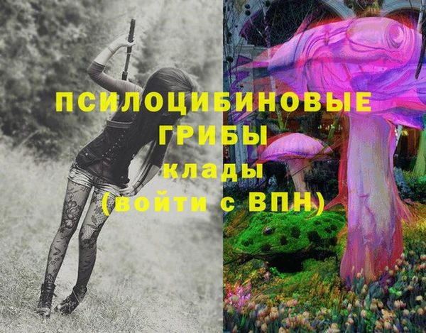 эйфоретик Каменск-Шахтинский