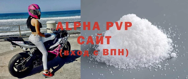 СК Каменногорск