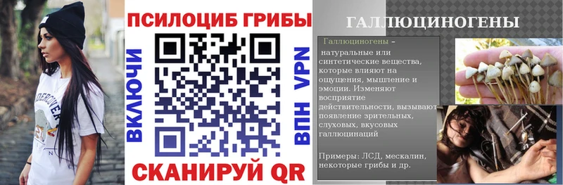 Псилоцибиновые грибы Psilocybe  Волгодонск 